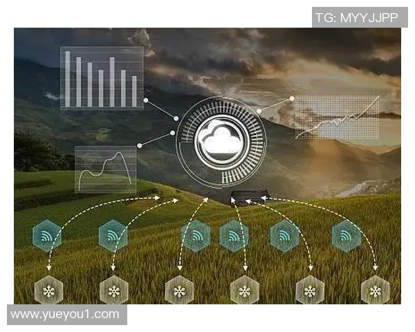 五谷丰收助力乡村振兴探索现代农业与传统农作物的融合发展路径