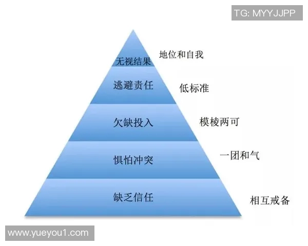 南京排球队战术创新与团队协作的深度解析与展望